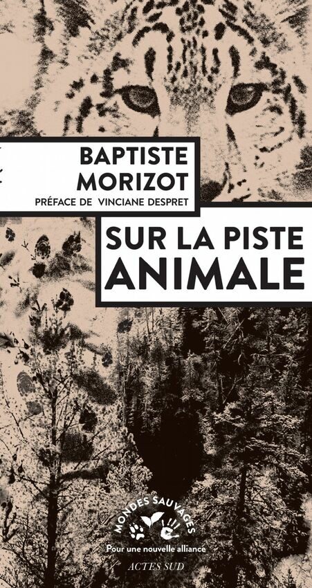 Sur la piste animale PDF Baptiste Morizot
